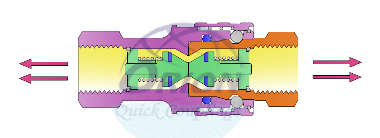 double check valves