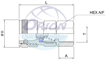 socket female drawing